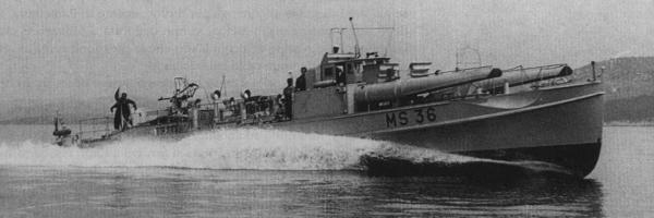 Motosiluranti MS 11 - 36  (**)