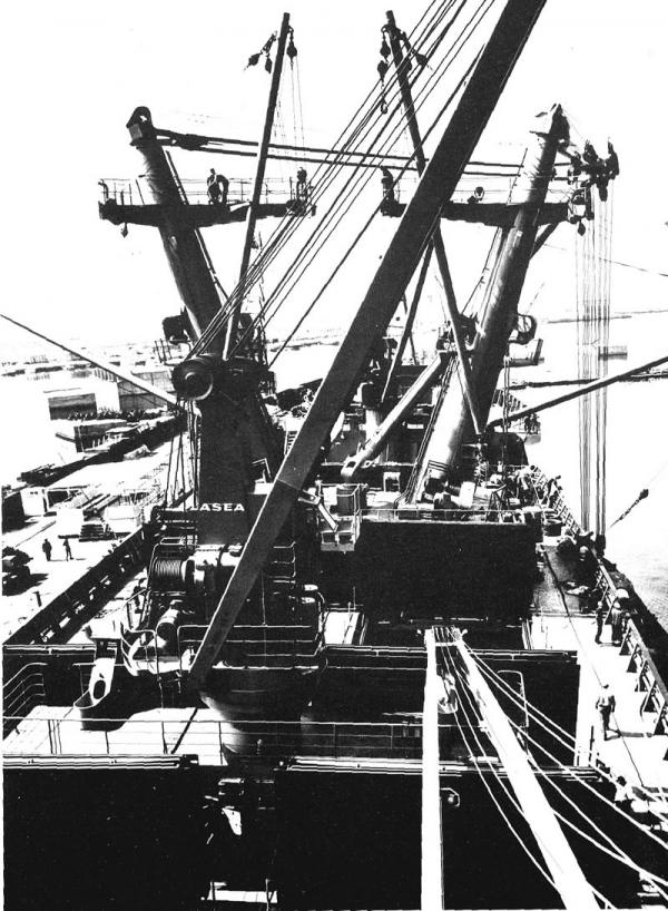 GAZZELLA - nave da carico     (**)